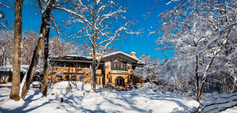 LA NEIGE - UPPER WADANO image 1