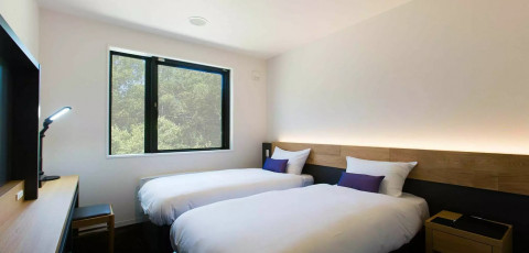 ALWAYS NISEKO image 4