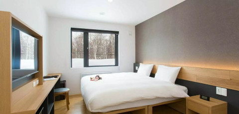 ALWAYS NISEKO image 5