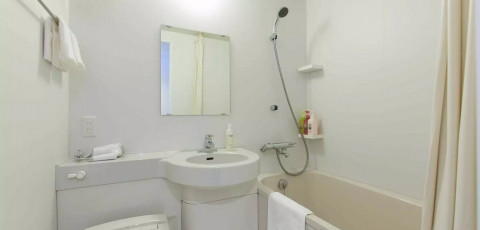 ALWAYS NISEKO image 6