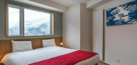 SNOW CRYSTAL - UPPER HIRAFU image 4