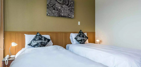 SNOW CRYSTAL - UPPER HIRAFU image 5