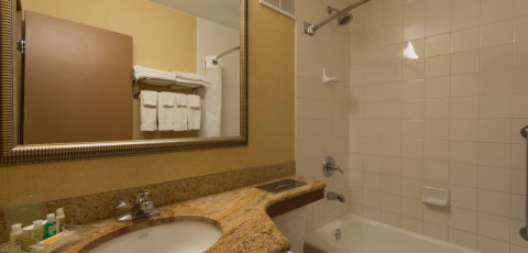 HOLIDAY INN image 7